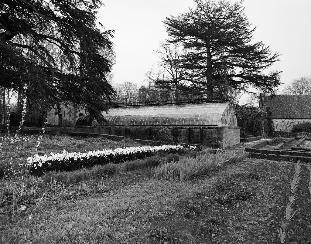 Jardin : serre, vue ensemble.