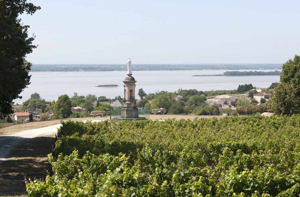 Vue du site depuis l'est.