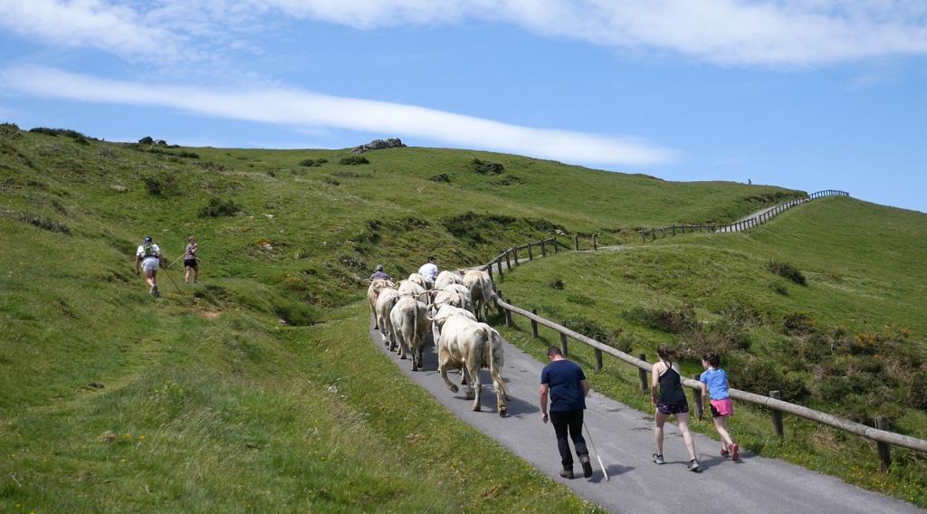 Fête de la Marque d'Urepel : montée vers le plateau de Sorrogain.