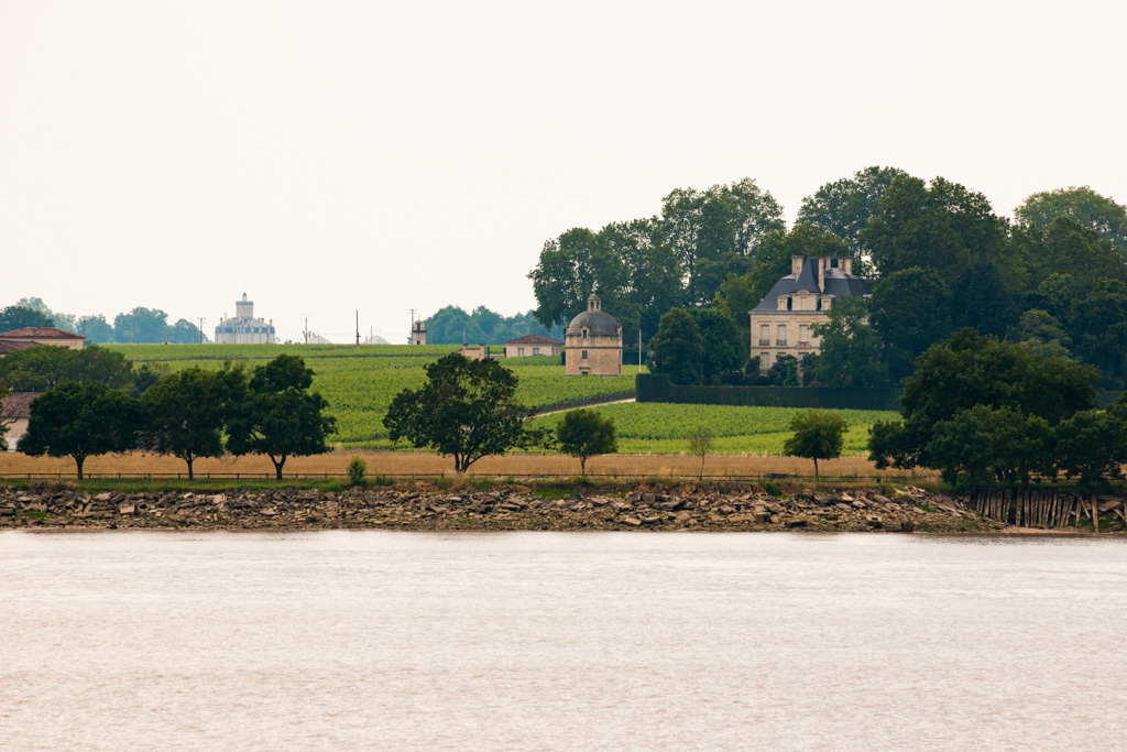 Vue d'ensemble depuis l'estuaire (avec à l'arrière-plan le Château Larose-Trintaudon).