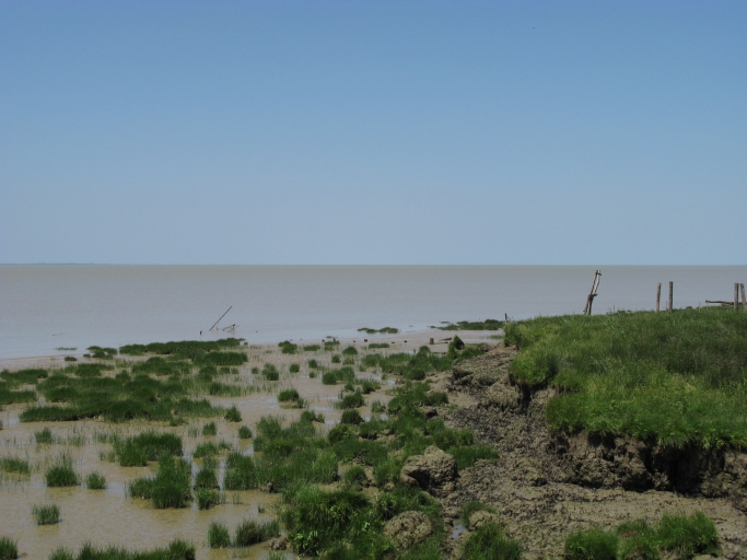 La rive de l'estuaire à la Grange d'Allouet.