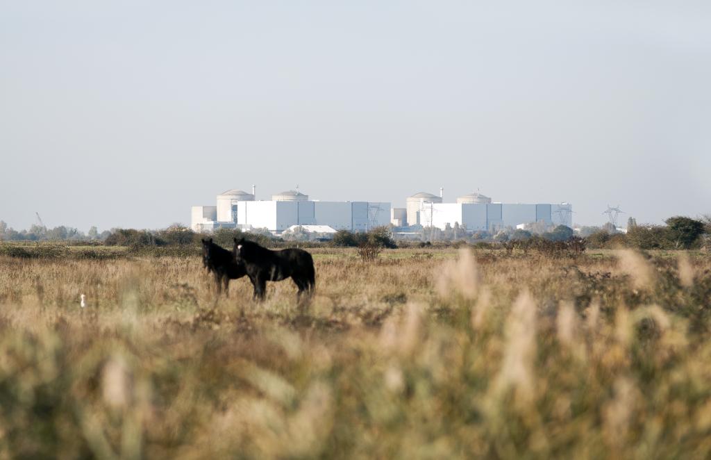 Chevaux dans les marais ; à l'arrière-plan, centrale nucléaire.