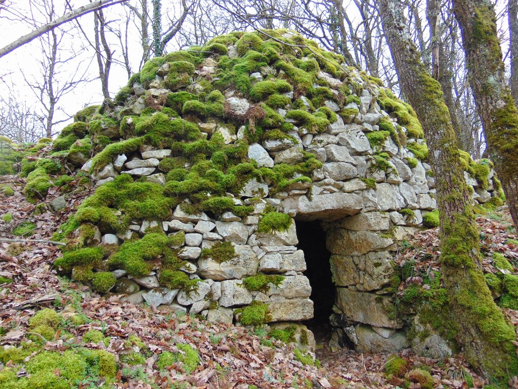 Une grande loge dans le bois de la Vallée.