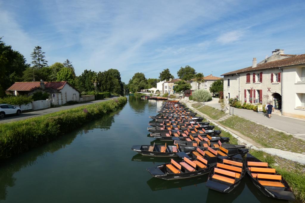 La Sèvre Niortaise traversant Coulon, en direction de l'ouest.