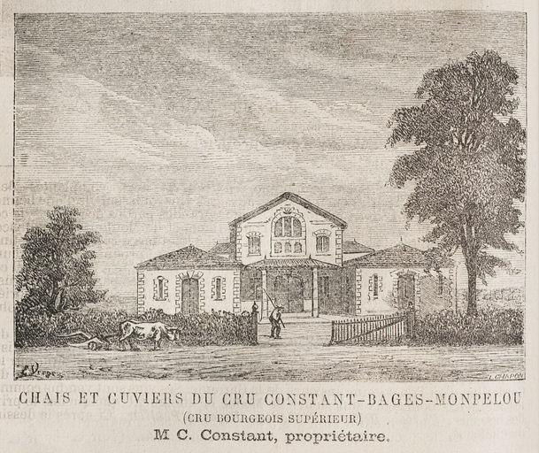 Illustration extraite de l'ouvrage de Cocks et Féret, 1874.