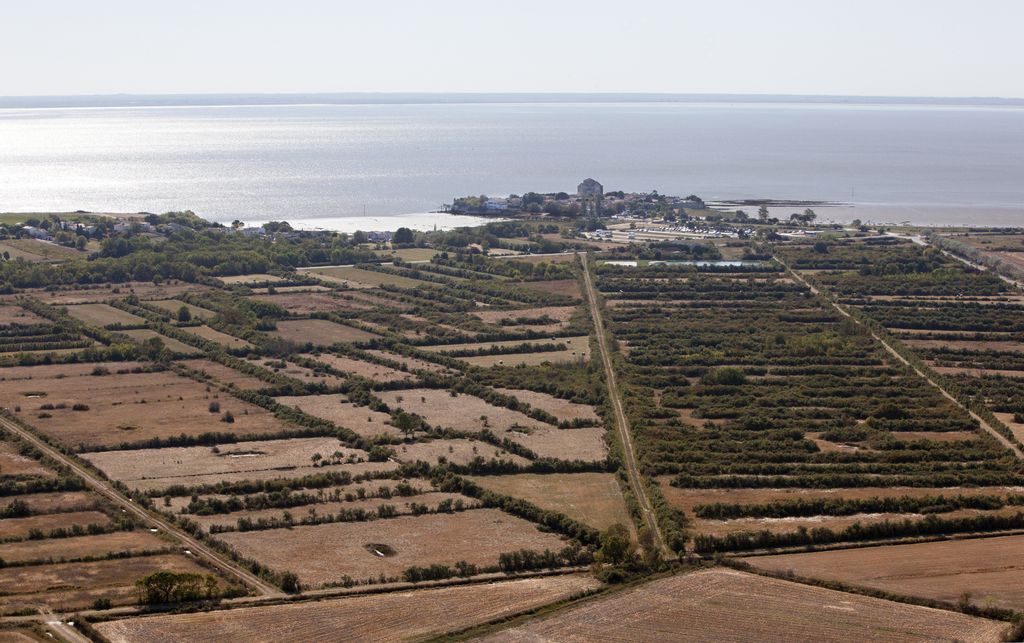 Vue aérienne des marais.