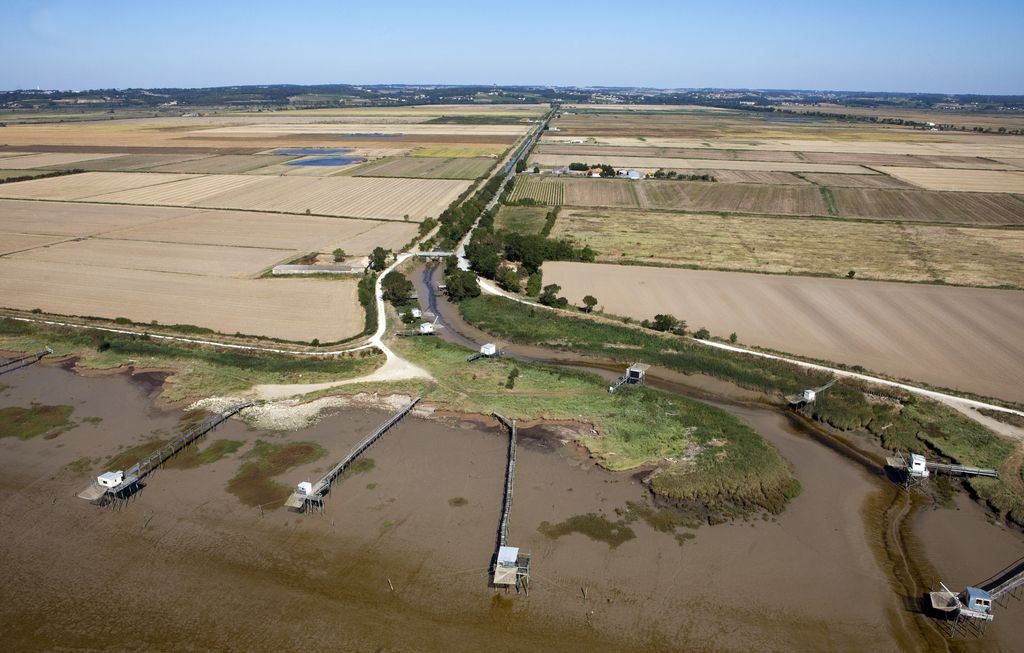 Port de Cônac. Vue aérienne.