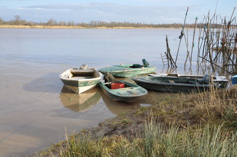 Barques amarrées.