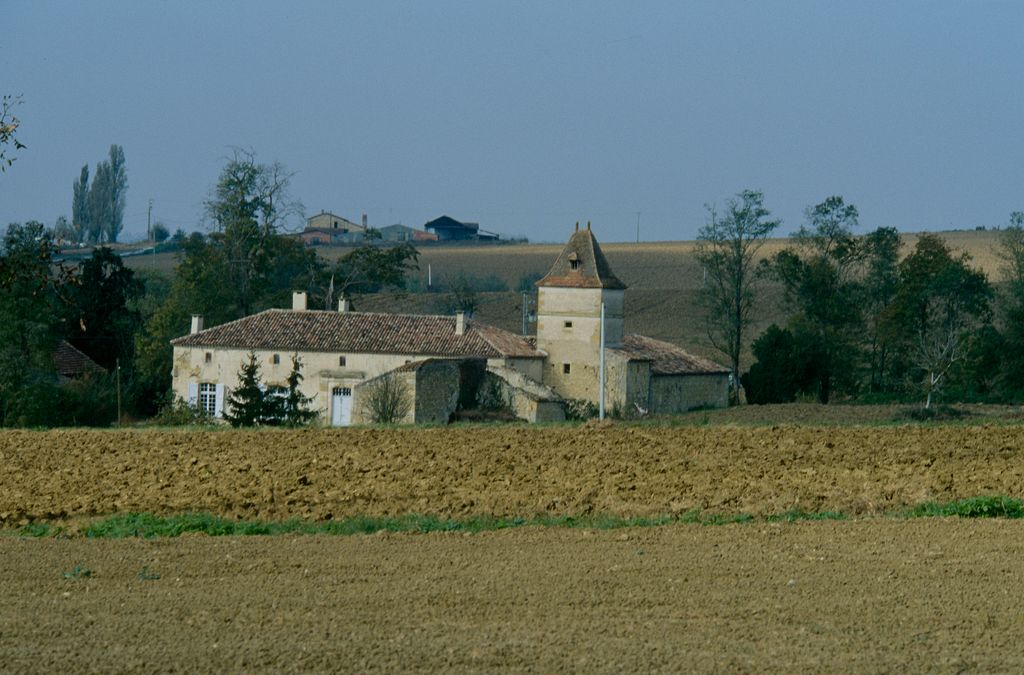 Vue d'ensemble depuis le nord-est.