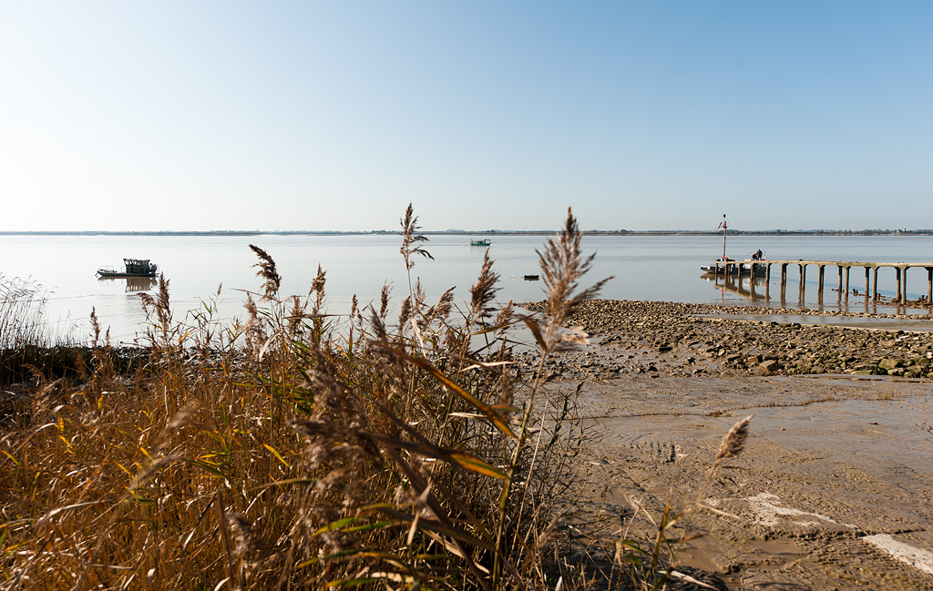 Vue du ponton et de l'estuaire.