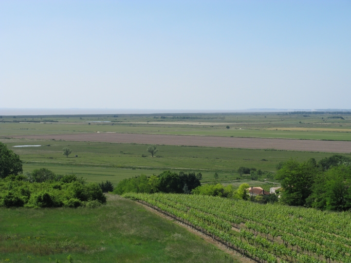 Le coteau, les marais et l'estuaire vus depuis le sommet du moulin.