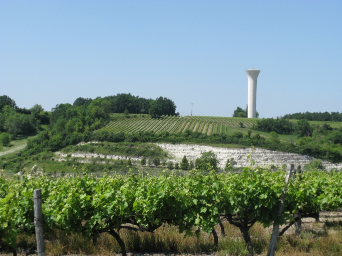 Coteaux viticoles vers les Joncs.