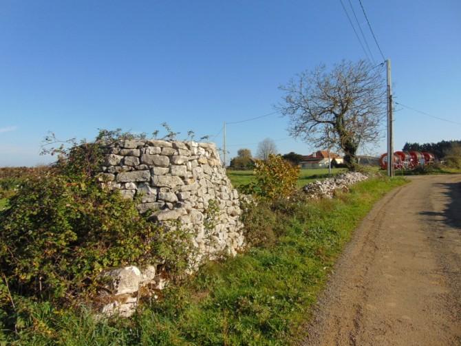 Loge en bordure de parcelle à Saint-Pierre.