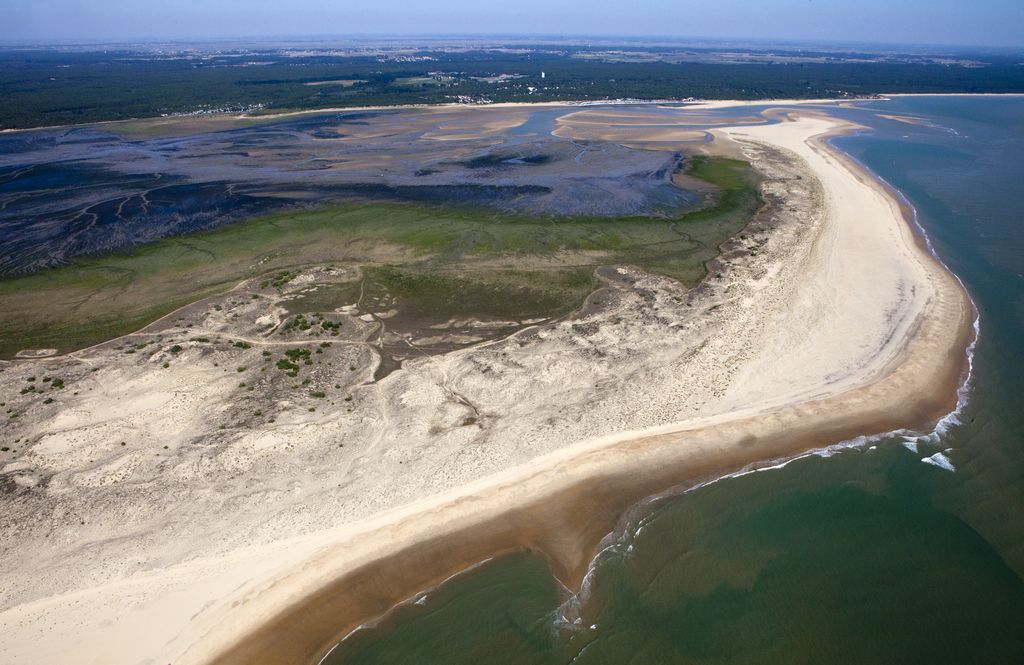 Vue aérienne : la baie de Bonne Anse, La Palmyre et la forêt.