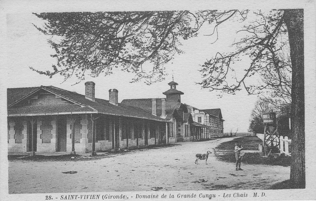 Carte postale (collection particulière) : Domaine de la Grande Canau, les chais, milieu 20e siècle.