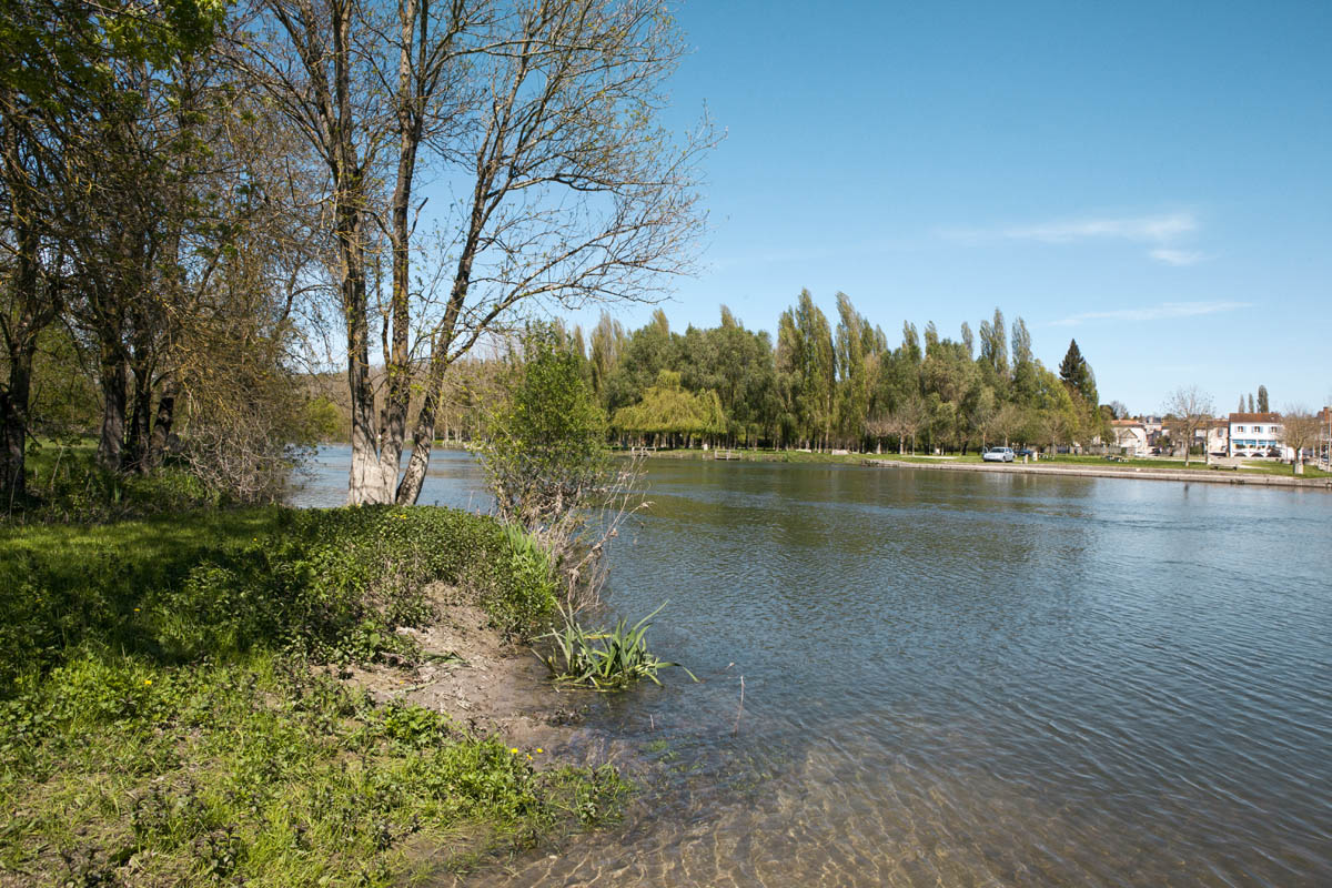 Le fleuve Charente en aval du passage du bac de Courcoury à Chaniers.