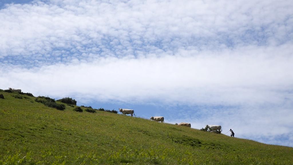 Fête de la Marque d'Urepel : arrivée au plateau de Sorrogain.