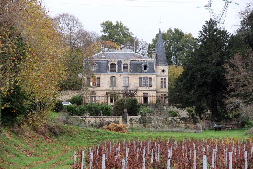 Vue d'ensemble du château.