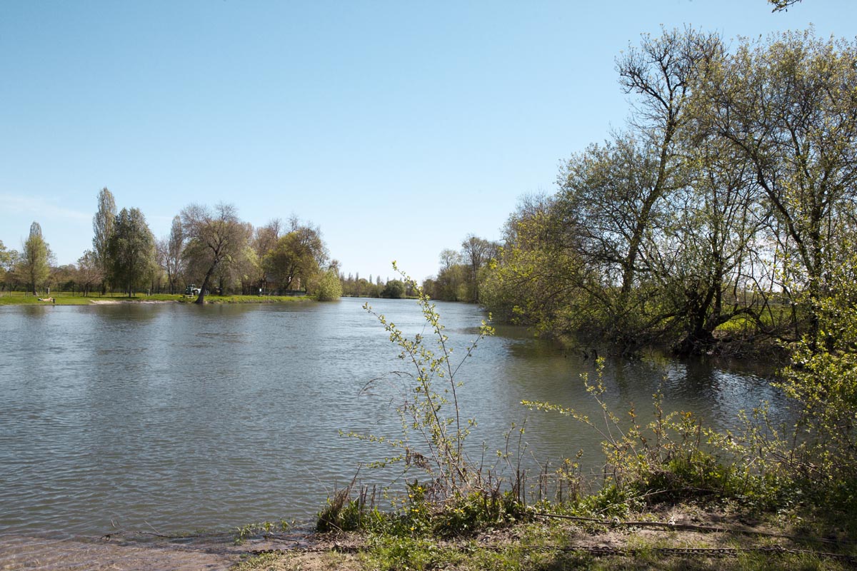 Le fleuve Charente au passage du bac entre Courcoury et Chaniers.