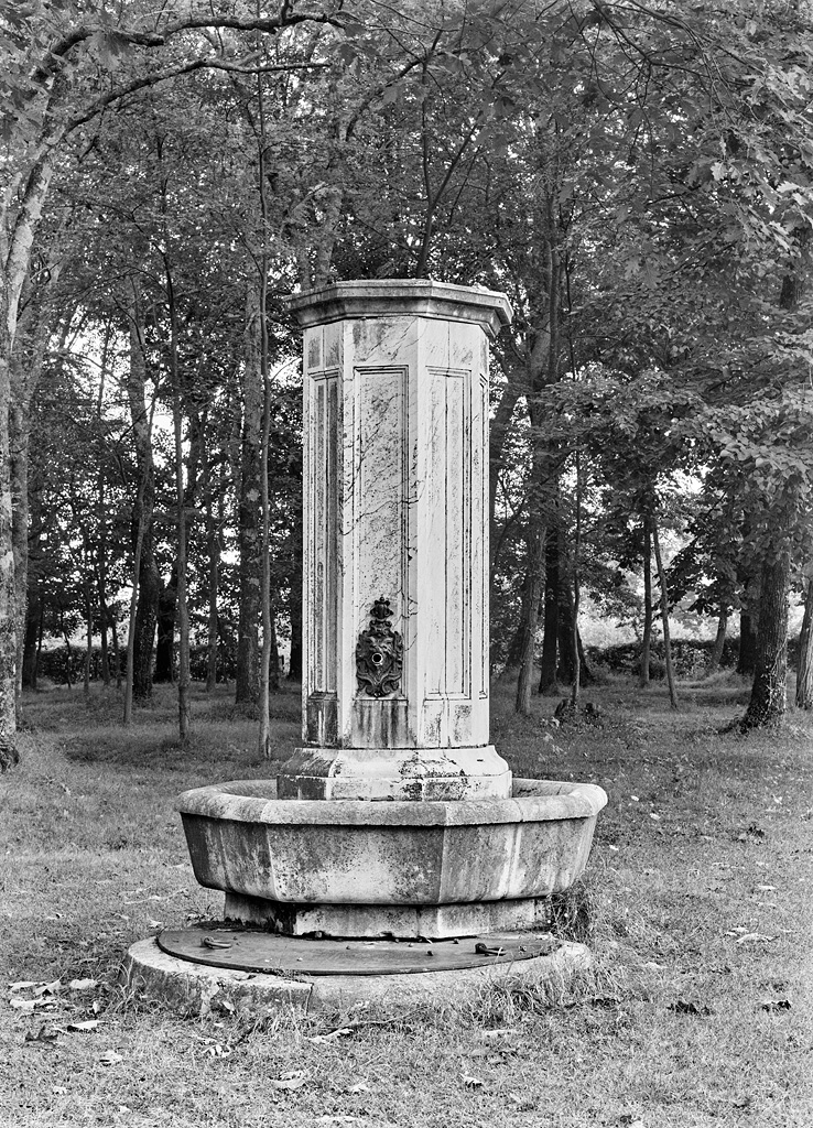 Vue d'ensemble d'une fontaine avec  mufle de lion.