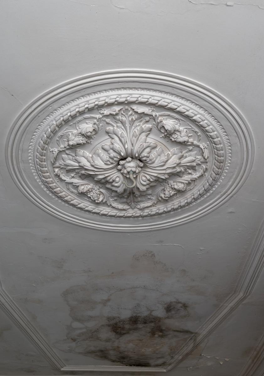 Décor du porte-luminaire au plafond de l'un des salons du rez-de-chaussée surélevé.