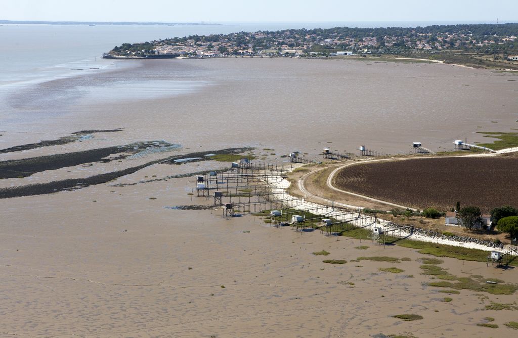 La pointe de Port Maran, vue aérienne en direction de Meschers.