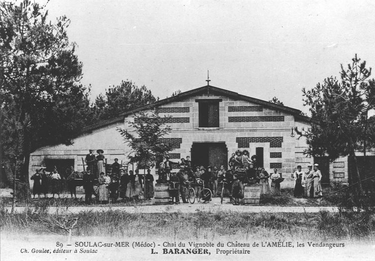 Carte postale, début 20e siècle (collection particulière) : Chai du vignoble du Château de l'Amélie. Les vendangeurs. Propriétaire L. Baranger.