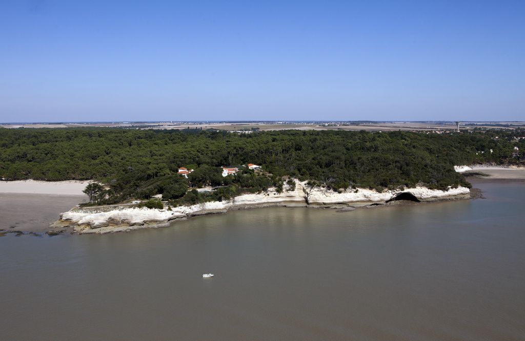 Forêt et falaises à l'Embéchade, entre la plage de Suzac à gauche et celle de l'Arnèche à droite. Vue aérienne.