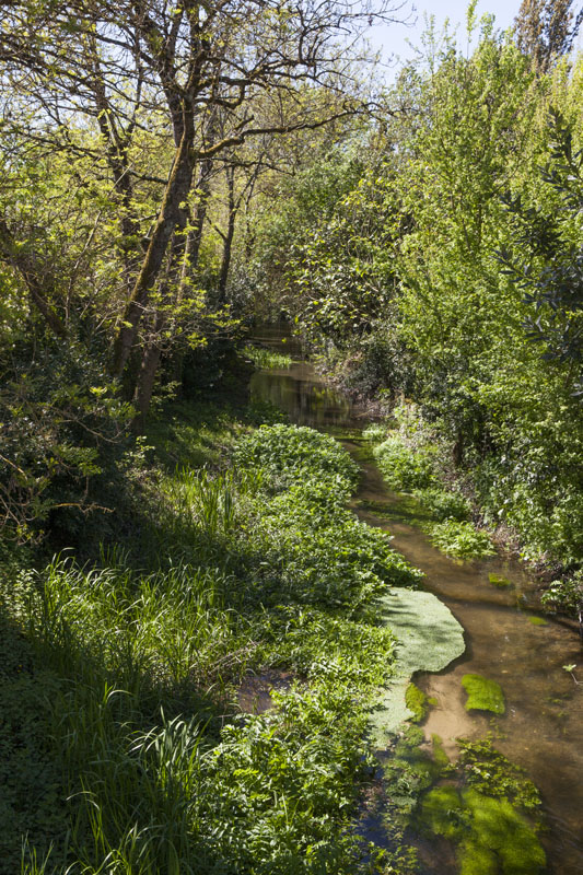 Canal d'amenée du moulin du bourg vu de la rue Pierre-SChoeffer.