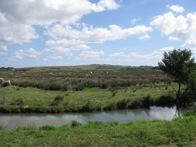 Fossé, prairies et, en arrière-plan, le coteau.