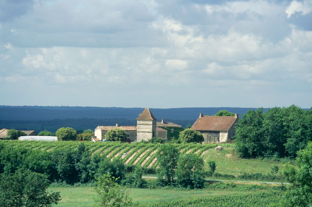 Vue d'ensemble depuis le nord est.