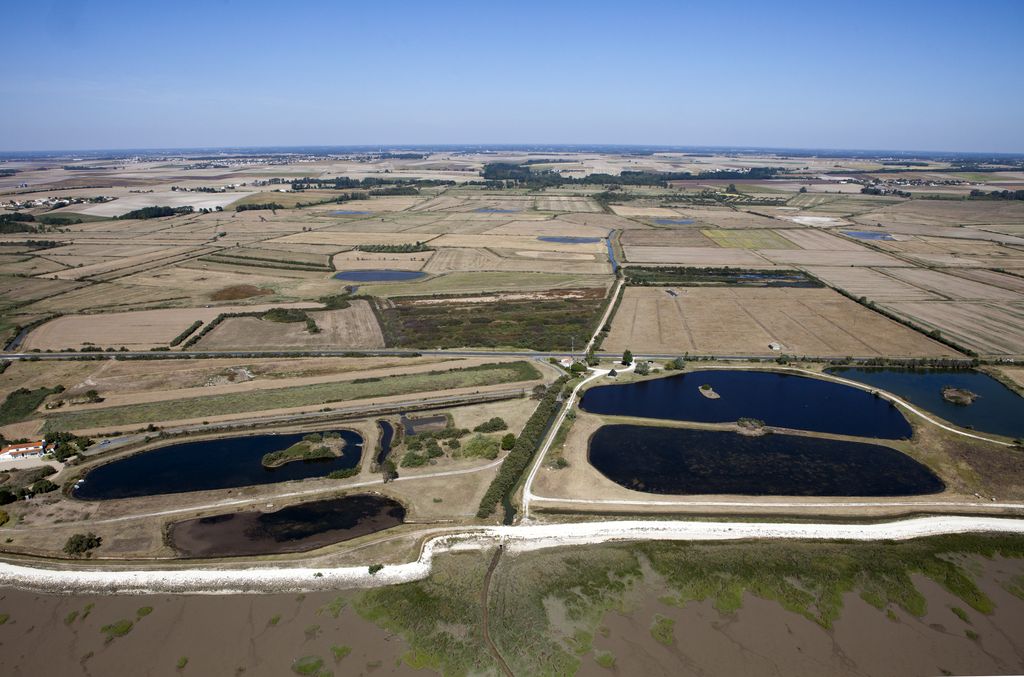 Vue aérienne à l'embouchure du ruisseau de Bardécille, limite entre Meschers et Arces : tonnes de chasse au premier plan, anciens marais salants au centre, marais desséchés de part et d'autre, terres hautes au fond.