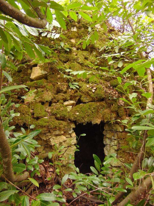 Les abords des loges abandonnées sont souvent envahis par la végétation.