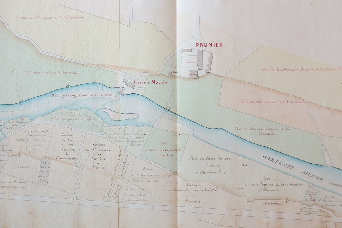 Le moulin de Pruniers à Pindray, extrait du plan du règlement d'eau dressé par l'ingénieur Hart en 1855.