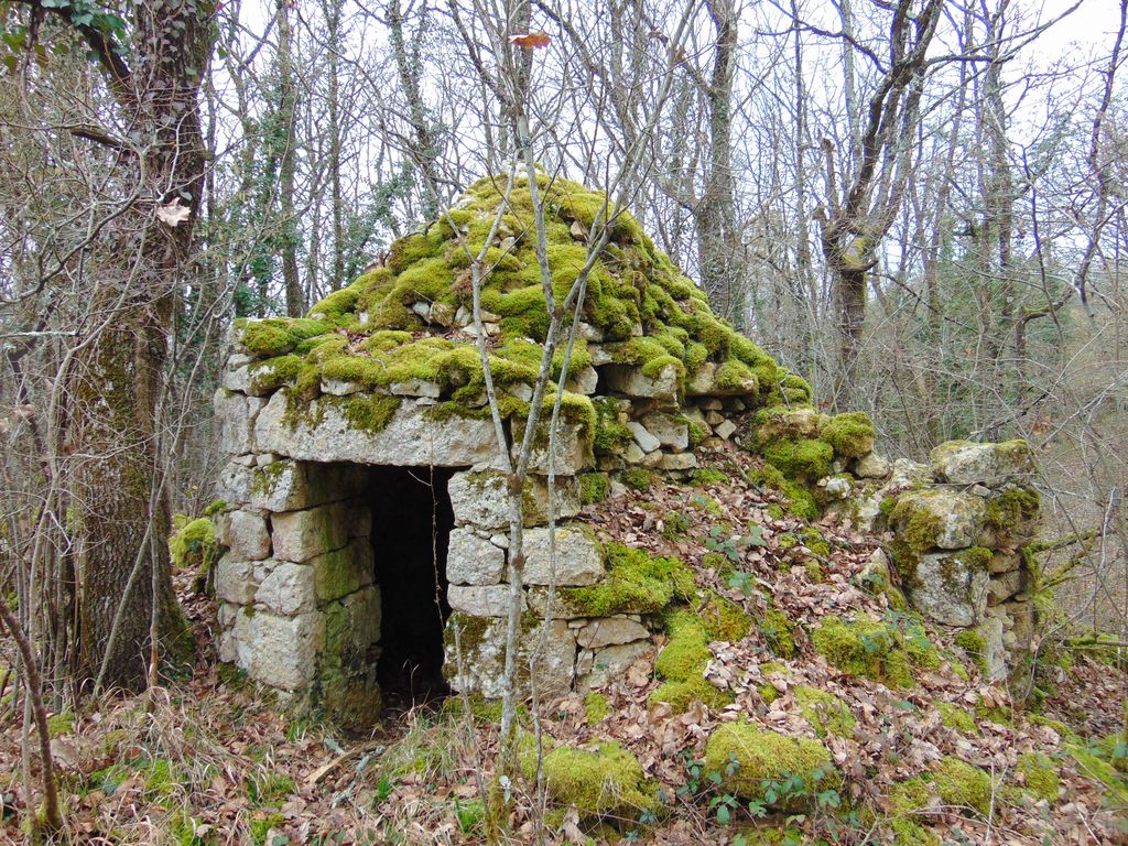 Loge dans le bois de la Vallée.