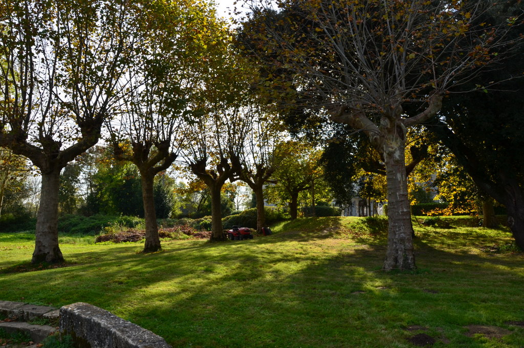 Allée de platanes, vers la demeure.