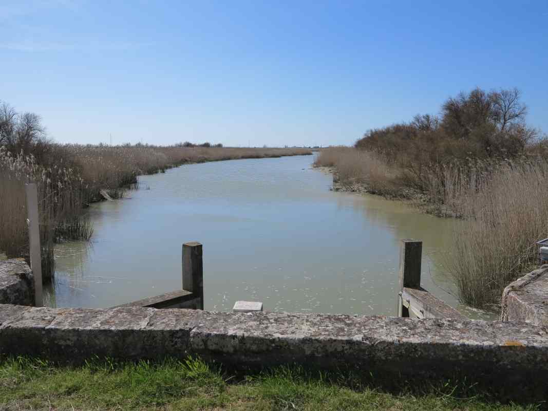 Les poteaux busqués des vantaux de la porte, pointés vers le chenal du canal, en direction de l'ouest.