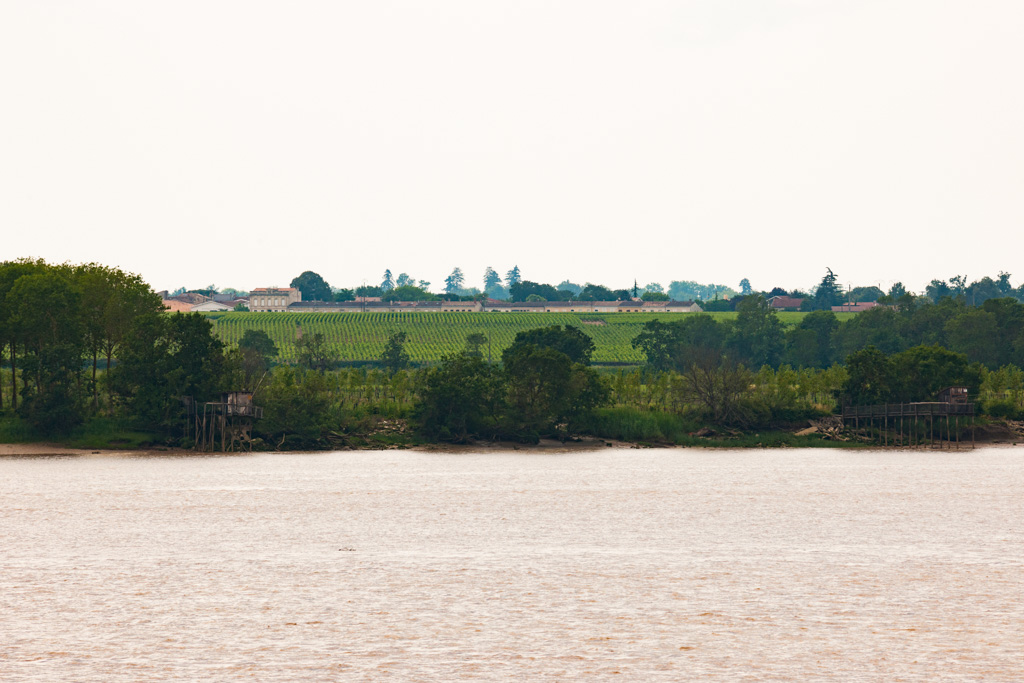 Vue d'ensemble depuis l'estuaire.