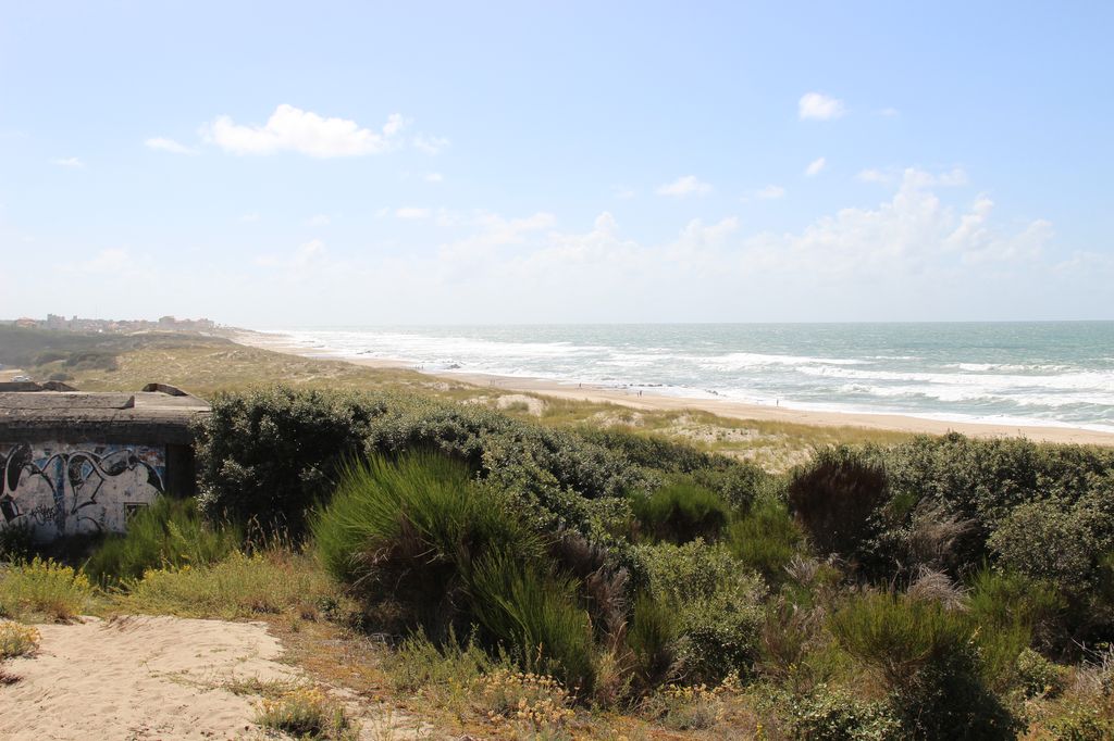 Plage des Arros : vue vers le sud (Soulac).