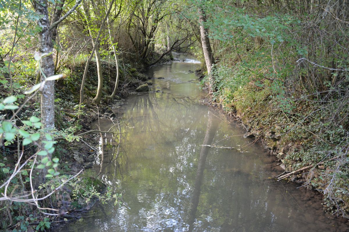 L'Ozon de Chenevelles, au sud du bourg.