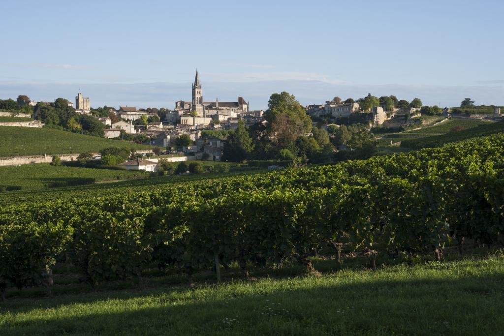 La ville vue depuis la combe au sud.