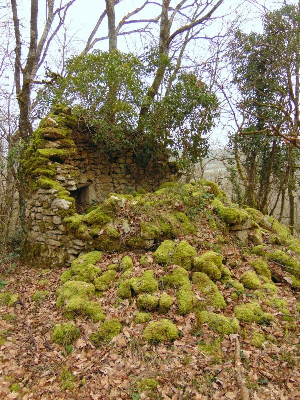 Loge en ruine près de Remerle.