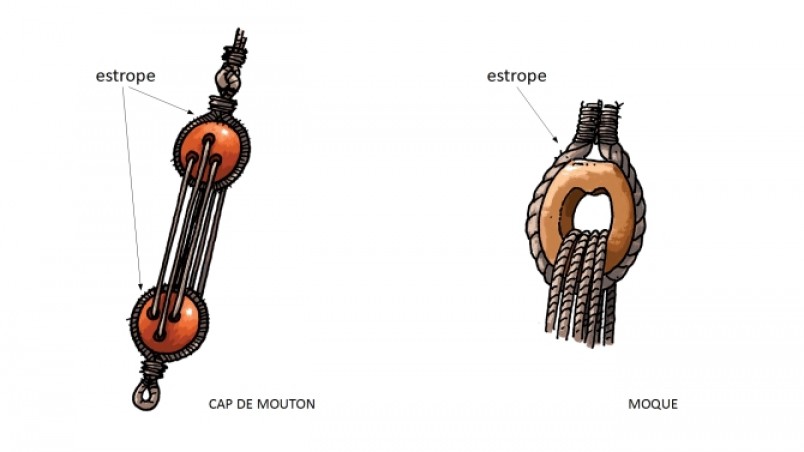 Dessin : Cap de mouton et moque.