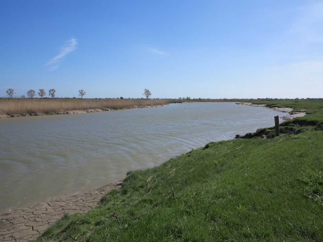 Un des derniers méandres de la Sèvre Niortaise, à Landelène.