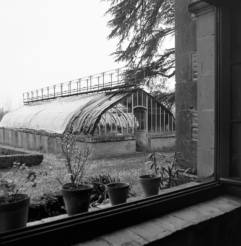 Jardin : serre, vue ensemble depuis l'orangerie.