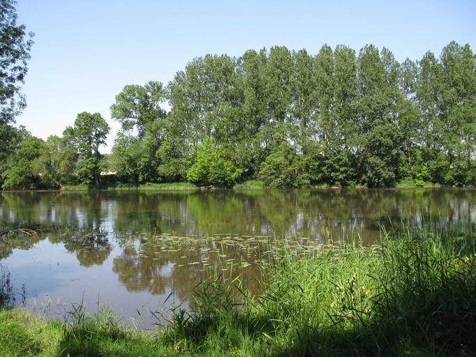 La Creuse au Port-d'Alogny.