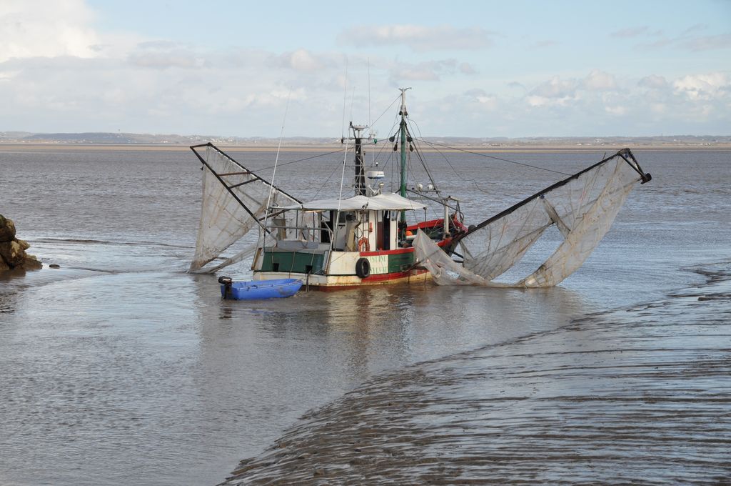 Bateau de pêche (piballes, crevettes) au port de la Maréchale.