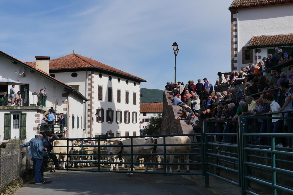 Fête de la Marque d'Urepel : public en attente du marquage des vaches.