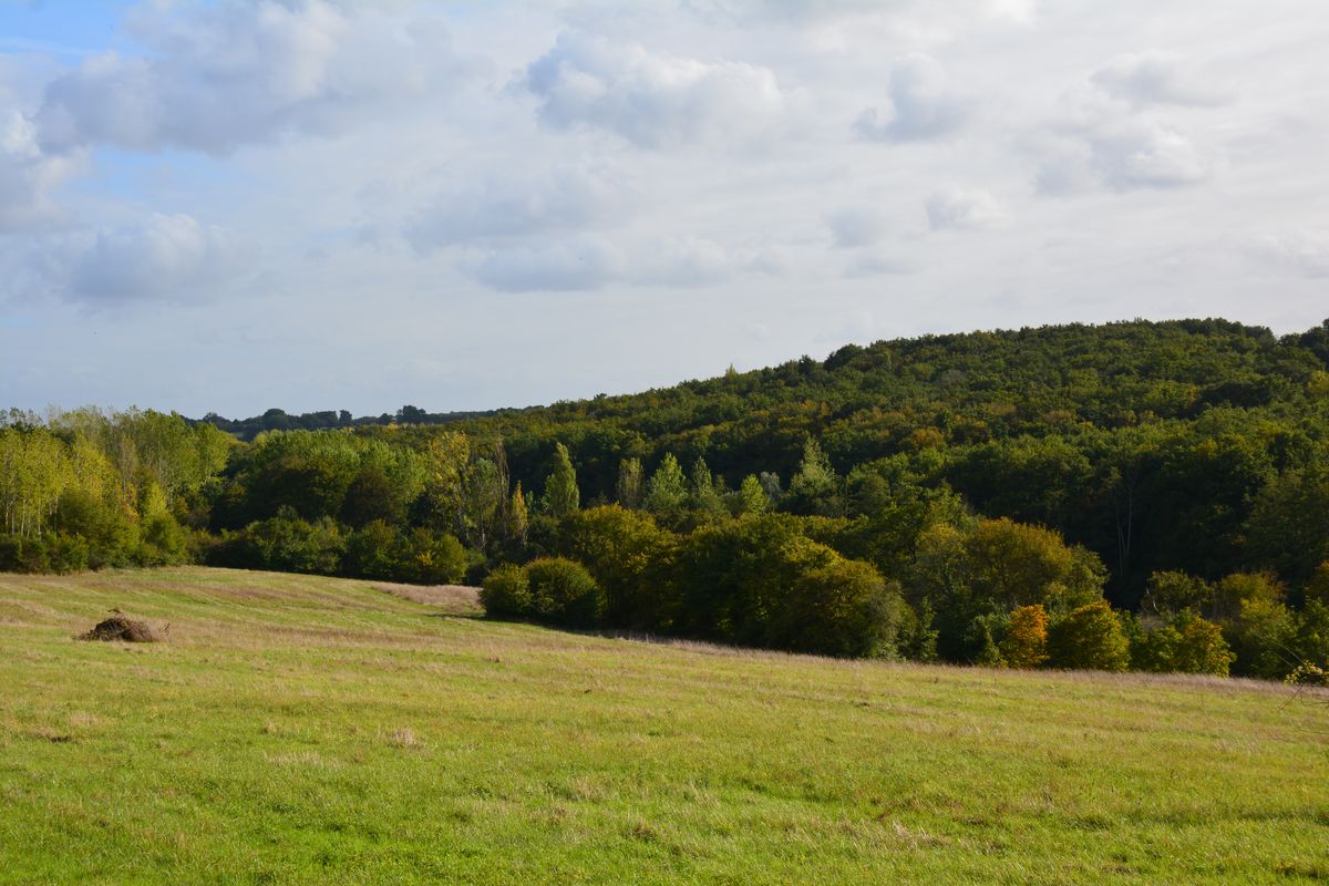 La vallée de l'Ozon, au sud du bourg.