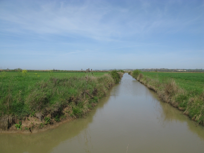 Canal de dessèchement à travers les marais.